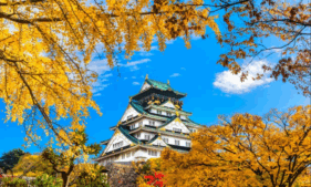 秋のオススメデートスポット