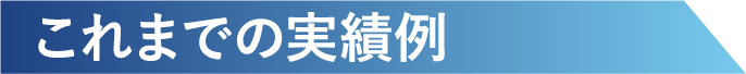 これまでの実績例
